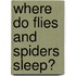 Where Do Flies and Spiders Sleep?