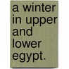 A Winter in Upper and Lower Egypt. door George Alexander Hoskins