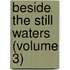Beside the Still Waters (Volume 3)