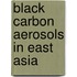 Black Carbon Aerosols In East Asia