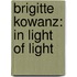 Brigitte Kowanz: In Light of Light