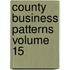 County Business Patterns Volume 15