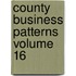 County Business Patterns Volume 16