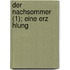 Der Nachsommer (1); Eine Erz Hlung