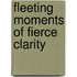 Fleeting Moments of Fierce Clarity