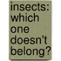 Insects: Which One Doesn't Belong?