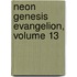 Neon Genesis Evangelion, Volume 13