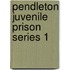 Pendleton Juvenile Prison Series 1