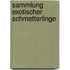 Sammlung exotischer Schmetterlinge