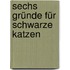 Sechs Gründe für schwarze Katzen