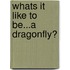 Whats it Like to be...a Dragonfly?