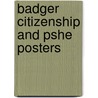 Badger Citizenship And Pshe Posters by Sue Graves