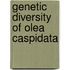Genetic Diversity of Olea Caspidata