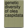 Genetic Diversity of Olea Caspidata by Syed Dilnawaz Gardezi