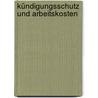 Kündigungsschutz und Arbeitskosten door Sonja Götz-Seidl