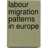 Labour Migration Patterns in Europe door European Commission