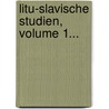 Litu-slavische Studien, Volume 1... by Aleksander Brückner