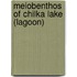 Meiobenthos Of Chilka Lake (Lagoon)