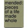 Mended: Pieces of a Life Made Whole door Angie Smith