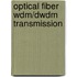 Optical Fiber Wdm/dwdm Transmission