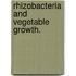 Rhizobacteria and Vegetable Growth.