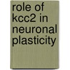 Role Of Kcc2 In Neuronal Plasticity by Ilona Chudotvorova