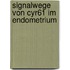 Signalwege Von Cyr61 Im Endometrium
