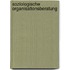 Soziologische Organisationsberatung