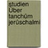 Studien Über Tanchûm Jerûschalmi