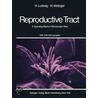 The Human Female Reproductive Tract door H. Metzger