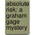 Absolute Risk: A Graham Gage Mystery