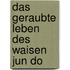 Das geraubte Leben des Waisen Jun Do