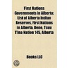 First Nations Governments in Alberta door Books Llc