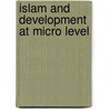 Islam and Development at Micro Level door Dmitri Makarov