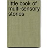 Little Book of Multi-Sensory Stories door Amy Arnold