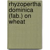 Rhyzopertha Dominica (Fab.) On Wheat door K.C. Kumawat