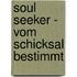 Soul Seeker - Vom Schicksal bestimmt