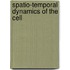 Spatio-temporal Dynamics of the Cell