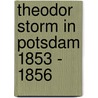 Theodor Storm in Potsdam 1853 - 1856 door Peter Goldammer
