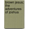 Brown Jesus; The Adventures of Joshua by Mr Vincent P. Grupi