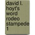 David L. Hoyt's Word Rodeo Stampede 1