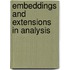 Embeddings and Extensions in Analysis