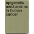 Epigenetic Mechanisms in Human Cancer