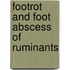 Footrot and Foot Abscess of Ruminants