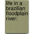 Life in a Brazilian floodplain river: