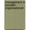 Management in sozialen Organisationen door Evelyn Schrom