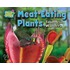 Meat-Eating Plants: Toothless Wonders