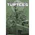 Teenage Mutant Ninja Turtles Classics