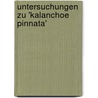 Untersuchungen zu 'Kalanchoe pinnata' door Rene Glockner
