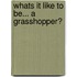 Whats it Like to be... a Grasshopper?